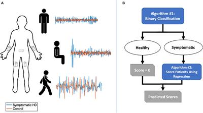 Predicting Severity of Huntington's Disease With Wearable Sensors